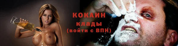 мдпв Весьегонск