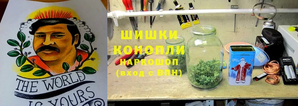 PSILOCYBIN Ветлуга