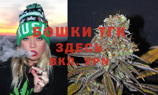 амф Валдай